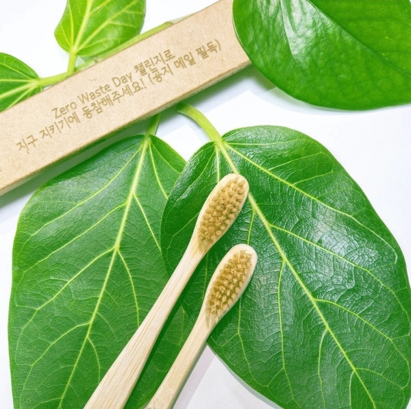 대나무칫솔