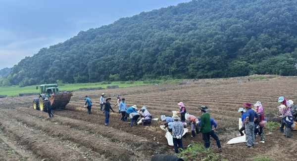 경기 연천
