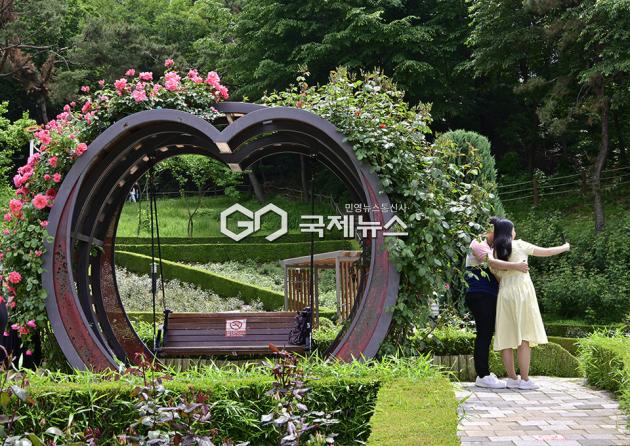 5~6월 나들이 & 부천 백만송이장미 축제 24일부터 6월 8일까지 (사진=안희영 기자)